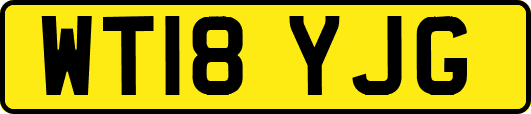 WT18YJG