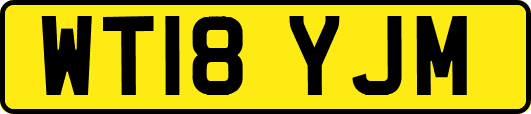 WT18YJM
