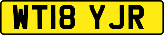WT18YJR