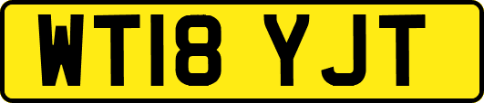 WT18YJT