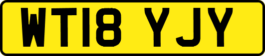 WT18YJY