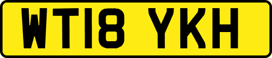 WT18YKH