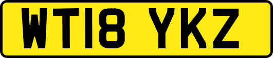 WT18YKZ