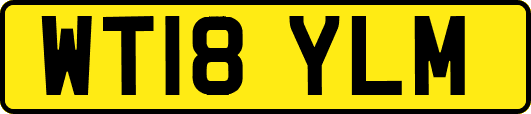 WT18YLM