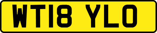WT18YLO