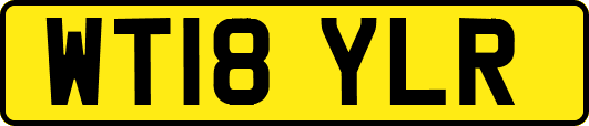 WT18YLR