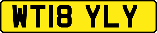 WT18YLY