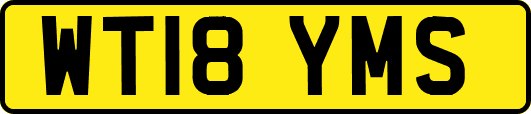WT18YMS
