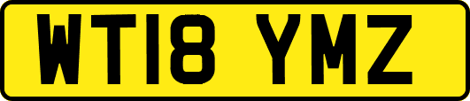WT18YMZ