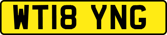 WT18YNG
