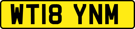 WT18YNM