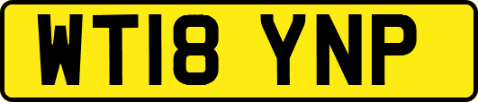 WT18YNP