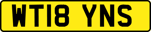 WT18YNS