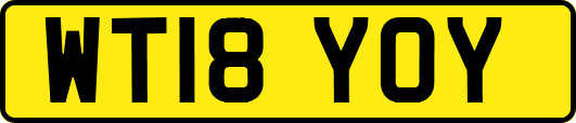 WT18YOY