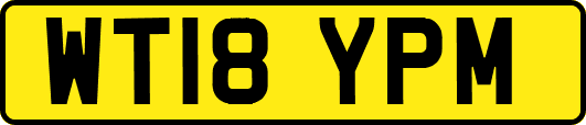 WT18YPM