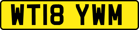 WT18YWM