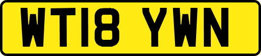 WT18YWN