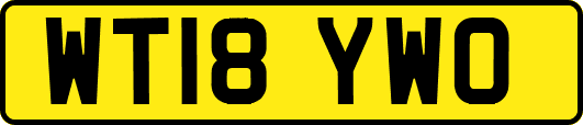 WT18YWO