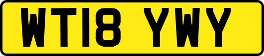 WT18YWY