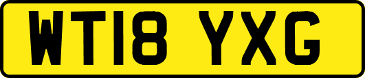 WT18YXG