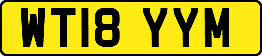 WT18YYM