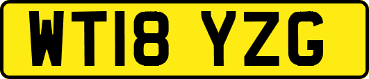 WT18YZG