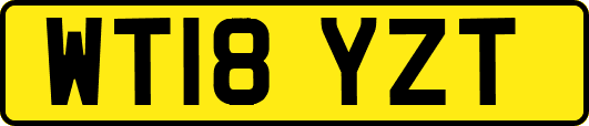 WT18YZT