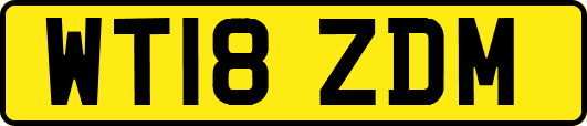WT18ZDM