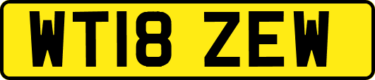 WT18ZEW