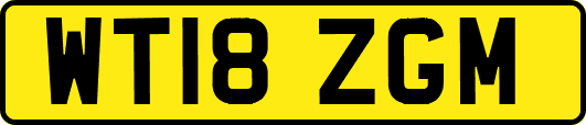 WT18ZGM