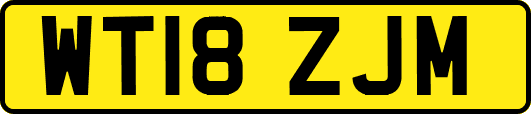 WT18ZJM
