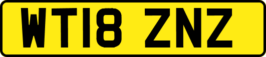 WT18ZNZ
