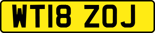 WT18ZOJ