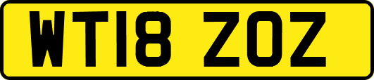 WT18ZOZ