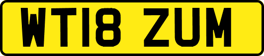 WT18ZUM