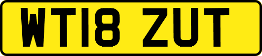 WT18ZUT
