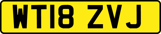 WT18ZVJ