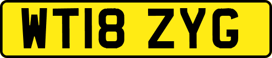 WT18ZYG