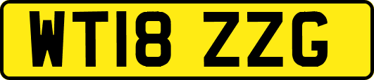 WT18ZZG