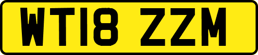 WT18ZZM