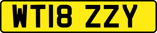 WT18ZZY