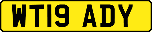 WT19ADY