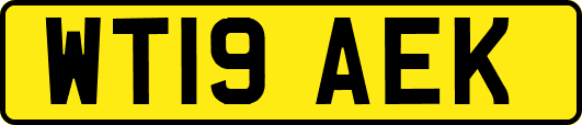 WT19AEK