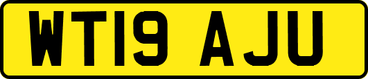 WT19AJU