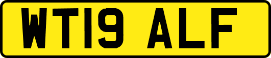 WT19ALF