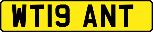 WT19ANT