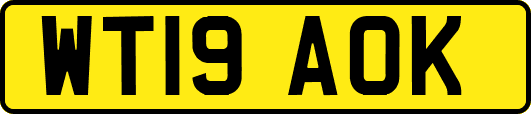 WT19AOK