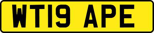 WT19APE