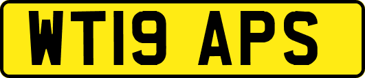 WT19APS
