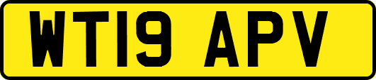 WT19APV